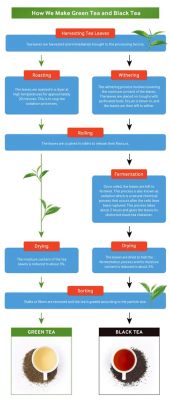 does all tea come from the same plant? The diversity of tea flavors and origins